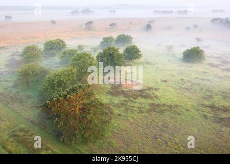 Nebel bedeckt die Heide, Luftaufnahme, Belgien, Antwerpen, Kalmthout, Kalmthoutse heide Stockfoto