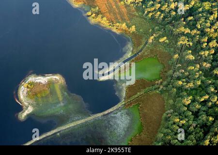 Luftaufnahme des Naturschutzgebietes Stappersven-Kalmthoutse Heide, Belgien, Antwerpen, Kalmthout, Kalmthoutse heide Stockfoto