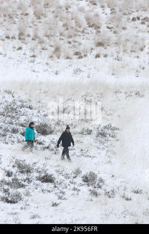 Wanderer in einer schneebedeckten Heidenlandschaft, Belgien, Antwerpen, Kalmthout, Kalmthoutse heide Stockfoto