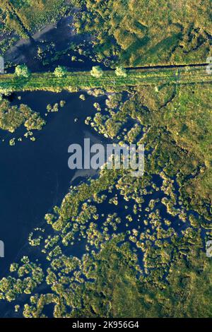 Luftaufnahme von Stappersven, Belgien, Antwerpen, Kalmthout, Kalmthoutse heide Stockfoto