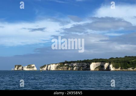 Old Harry Rocks, Handfast Point aus Studland Bay, Dorset, England, Großbritannien Stockfoto