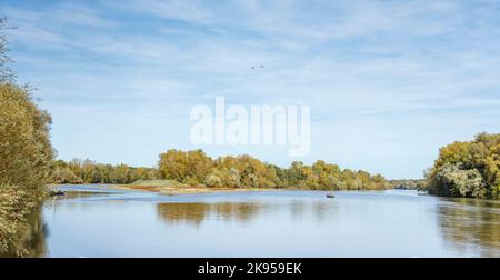 Frankreich, Cher, Berry Region, Saint-Satur, die Loire im Herbst // Frankreich, Cher (18), Berry, Saint-Satur, la Loire en automne Stockfoto