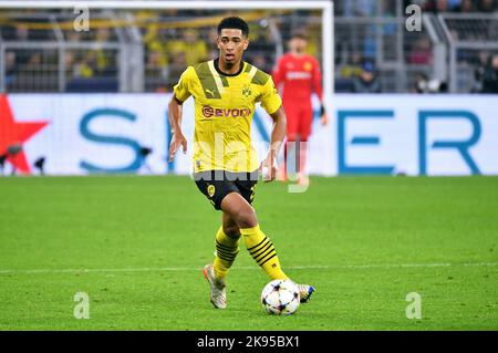 UEFA Champions League, Signal Iduna Park Dortmund, Bor. Dortmund vs Manchester City; Stockfoto