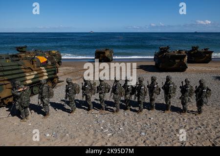 Pohang, Südkorea. 26. Oktober 2022. Südkoreanische Marineinfanteristen nehmen am Mittwoch, den 26. Oktober 2022, an der gemeinsamen amphibischen Übung von Hoguk in Pohang, Südkorea, Teil. Foto: SeongJoon Cho/Pool Via Credit: SIPA USA/Alamy Live News Stockfoto