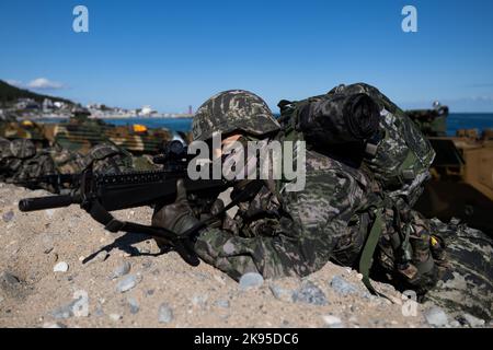 Pohang, Südkorea. 26. Oktober 2022. Südkoreanische Marineinfanteristen nehmen am Mittwoch, den 26. Oktober 2022, an der gemeinsamen amphibischen Übung von Hoguk in Pohang, Südkorea, Teil. Foto: SeongJoon Cho/Pool Via Credit: SIPA USA/Alamy Live News Stockfoto