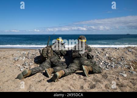 Pohang, Südkorea. 26. Oktober 2022. Südkoreanische Marineinfanteristen nehmen am Mittwoch, den 26. Oktober 2022, an der gemeinsamen amphibischen Übung von Hoguk in Pohang, Südkorea, Teil. Foto: SeongJoon Cho/Pool Via Credit: SIPA USA/Alamy Live News Stockfoto