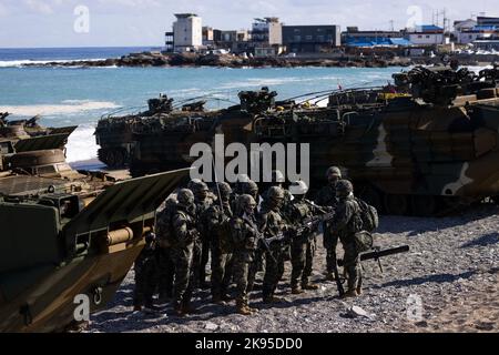 Pohang, Südkorea. 26. Oktober 2022. Südkoreanische Marineinfanteristen nehmen am Mittwoch, den 26. Oktober 2022, an der gemeinsamen amphibischen Übung von Hoguk in Pohang, Südkorea, Teil. Foto : SeongJoon Cho/Pool Via Credit: SIPA USA/Alamy Live News Stockfoto