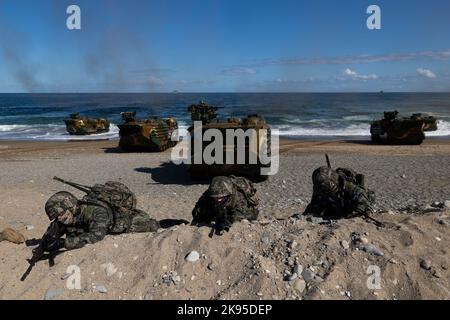 Pohang, Südkorea. 26. Oktober 2022. Südkoreanische Marineinfanteristen nehmen am Mittwoch, den 26. Oktober 2022, an der gemeinsamen amphibischen Übung von Hoguk in Pohang, Südkorea, Teil. Foto: SeongJoon Cho/Pool Via Credit: SIPA USA/Alamy Live News Stockfoto