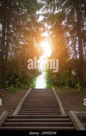 Alte Treppe im park Stockfoto