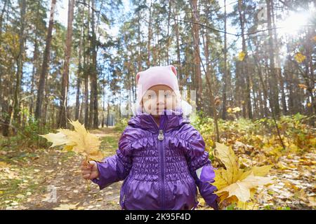 Kinder im Freien an einem sonnigen Herbsttag. Mit einem Haufen Blätter in der Hand Stockfoto