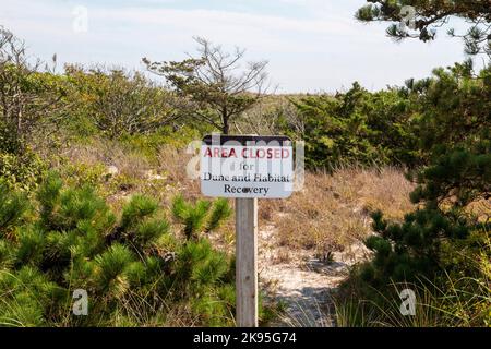 Ein Schild in den Dinen von Fire Island liest Bereich geschlossen für Düne und Lebensraum Erholung. Stockfoto