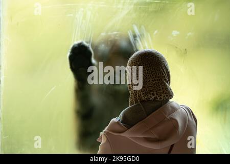 Frau trägt Schleier vor Tiger Zimmer, Konzept der Stärke der Frauen Stockfoto