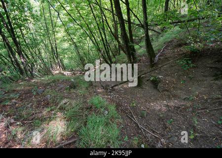 Überreste der eingefallenen St. Michaels Kirche in der Nähe der Höhle, in der die Tradition besagt, dass der Heilige Kolumbanus gestorben ist - Kolibakterien in der Nähe von Bobbio, Piacenza, Italien Stockfoto