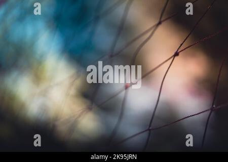 Eine Nahaufnahme eines Fußball-Tornetzes geht allmählich aus dem Fokus auf blauem und pastellrosa Hintergrund Stockfoto