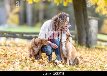 Eine junge Frau umarmt ihren Hund in einem Herbstpark. Stockfoto