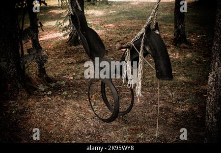 Kinder Pferdereifen Schaukel hängen von einem Ahornbaum in den Wäldern Stockfoto