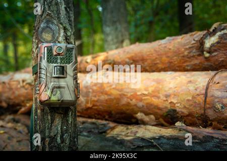 Kamerafalle im Wald befestigt, Waldüberwachung Stockfoto