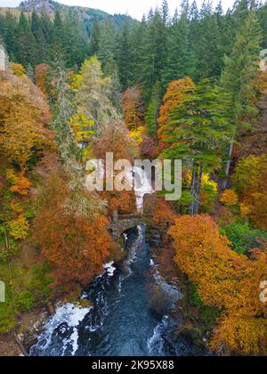 Luftaufnahme der Herbstfarben rund um die Black Linn Falls am Fluss Braan bei der Hermitage in Perth und Kinross, Schottland, Großbritannien Stockfoto