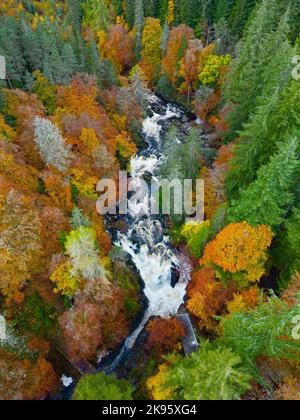 Luftaufnahme der Herbstfarben rund um die Black Linn Falls am Fluss Braan bei der Hermitage in Perth und Kinross, Schottland, Großbritannien Stockfoto