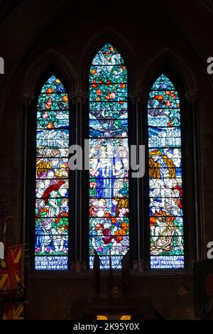 Irland Dublin St Patrick's Cathedral Church of Ireland wurde 1191 katholisch gegründet gotische Glasfenster Name E C Guinness 1. Earl of Inveagh Stockfoto