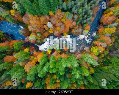 Luftaufnahme der Herbstfarben rund um die Black Linn Falls am Fluss Braan bei der Hermitage in Perth und Kinross, Schottland, Großbritannien Stockfoto