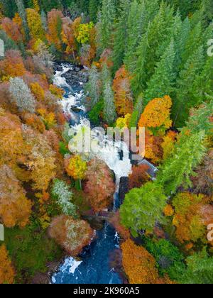 Luftaufnahme der Herbstfarben rund um die Black Linn Falls am Fluss Braan bei der Hermitage in Perth und Kinross, Schottland, Großbritannien Stockfoto