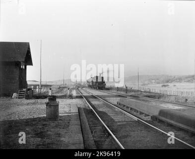 Eine Dampflokomotive mit Personenwagen zum Zeitpunkt der Station Stockfoto