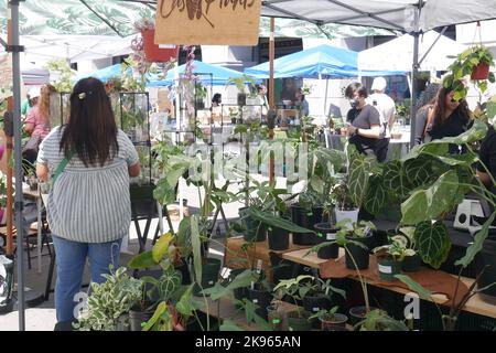 Eine Frau steht mit ihrem Rücken zu einem Stand, der Hauspflanzen auf einem Outdoor-Markt in San Francisco, Kalifornien verkauft Stockfoto