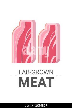Kultivierter roher roter Fleischspeck aus tierischen Zellen künstliches Labor gezüchteter Fleischproduktion Konzept vertikal Stock Vektor