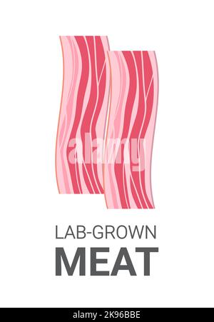 Kultivierter roher roter Fleischspeck aus tierischen Zellen künstliches Labor gezüchteter Fleischproduktion Konzept vertikal Stock Vektor