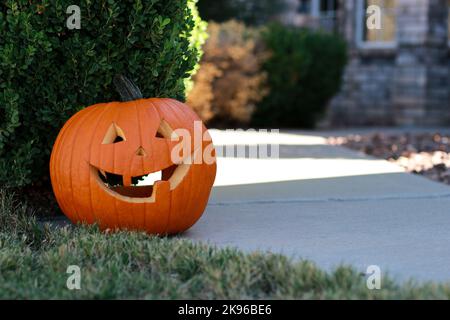 Nahaufnahme eines großen halloween Kürbisses vor der Tür Stockfoto