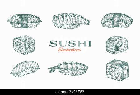 Abstrakte Vektorgrafik Von Sushi. Handgezeichnetes asiatisches Essen Sashimi Rise mit Garnelenschwanz, Lachs Fischrollen Skizzenzeichnungen Sammlung. Japanisch Stock Vektor