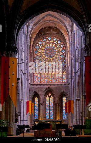 Saint Malo Bretagne Frankreich. Kathedrale St. Vincent. Buntglas Stockfoto