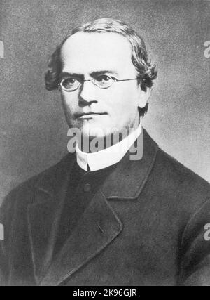 Gregor Johann Mendel, (1822 – 1884) Biologe, Meteorologe, Mathematiker, Augustiner-Mönch und Abt der Abtei St. Thomas in Brünn (Brünn), Markgrafschaft von Mähren. Stockfoto