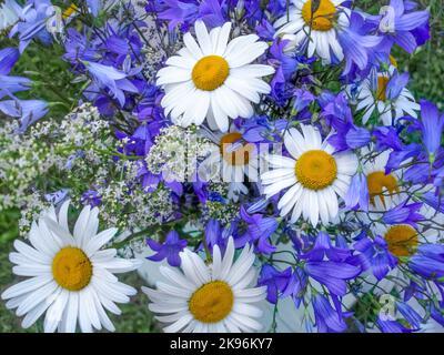 Wildblumen, Kamille und Bluebells aus der Nähe. Heilpflanzen. Phytotherapie. Floraler Hintergrund. Stockfoto