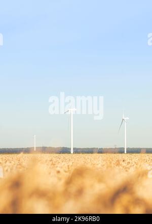 Eine Auswahl von Getreide und Windkraftanlagen in einem Feld in Flevoland, Niederlande Stockfoto