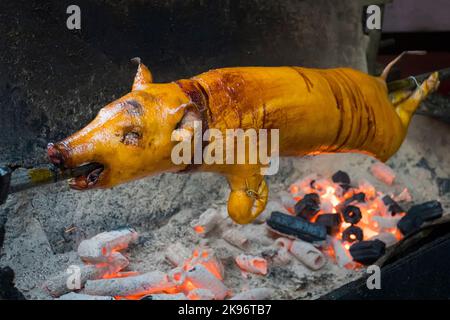 Im Freien Braten Schwein auf dem Grill im offenen Feuer. Brawned lecker Braten Schwein. Die Delikatesse wird auf offenen brennenden Kohlen zubereitet. Stockfoto