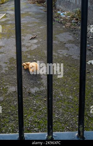 Der verlorene Teddybär liegt mit dem Gesicht nach unten in einer Gasse. Einsame Bärenpuppe, die an einem düsteren Tag auf einem Pfad liegt. Konzepte - einsam, verworfen, ungeliebt, vermisst Stockfoto