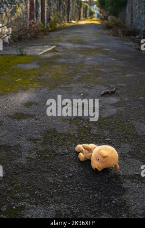 Der verlorene Teddybär liegt mit dem Gesicht nach unten in einer Gasse. Einsame Bärenpuppe, die an einem düsteren Tag auf einem Pfad liegt. Konzepte - einsam, verworfen, ungeliebt, vermisst Stockfoto