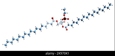 3D Bild der Skelettformel von Phosphatidyllethanol - molekularchemische Struktur von Phospholipid auf weißem Hintergrund isoliert Stockfoto