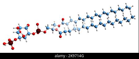 3D Bild der Skelettformel des Phosphatidyllinositolphosphats - molekularchemische Struktur von PIP isoliert auf weißem Hintergrund Stockfoto