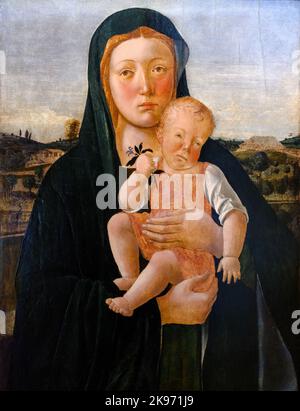 Madonna mit Kind von Giovanni Bellini (um 1435-1516), Öl auf Tafel Stockfoto