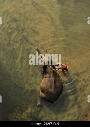 Eine räumliche Ansicht eines Elefanten, der von einem Mann in schlammigem Wasser im Fluss duscht Stockfoto