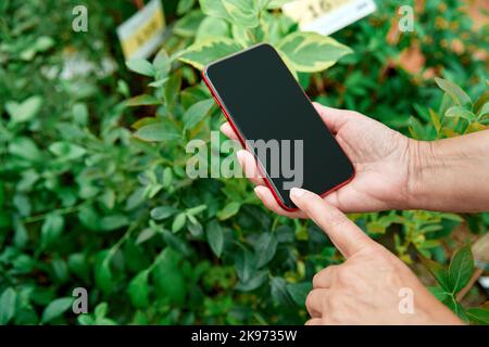 Person mit einem Smartphone, die ein Foto in einem Blumenladen gemacht hat. Stockfoto