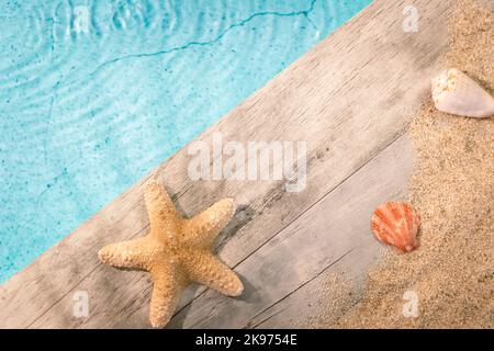 Muscheln von oben auf einem Holzpflaster über einem Pool mit Seesternen gesehen. Atmosphärenurlaub im Sommer. Stockfoto