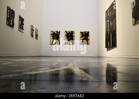 Frankreich, Aveyron (12) Rodez. Musée Soulages. Einige Arbeiten sind bereits vorhanden. Stockfoto