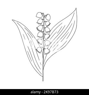 Handgezeichnete Vektordarstellung von blühenden Waldwildblumen. Maiglöckchen im Doodle-Stil. Logo Design Element für Grußkarten, Einladungen. Stock Vektor