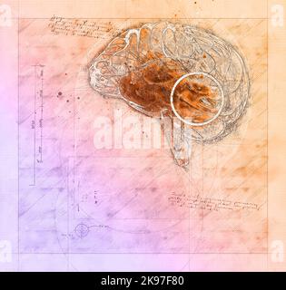 Hirnstudie, Zeichnung des Menschen im Profil mit dem Gehirn. Potentialität des Geistes. Mentale Fähigkeiten und IQ-Fähigkeiten Intelligenz, Messung. Ai Stockfoto