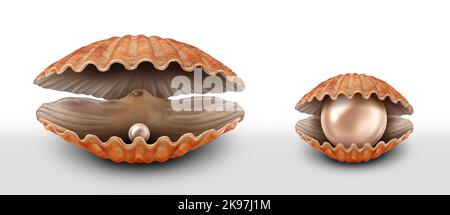Value-Investment-Konzept als kleine Perle in einer großen offenen Meeresmuschel und ein riesiges Juwel in einer kleinen Auster als Metapher für die Wahl der richtigen Investition. Stockfoto