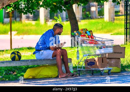 Eine Afro-Karibik verkauft Grundartikel in einem Einkaufswagen. Er sitzt in einem öffentlichen Park. Stockfoto